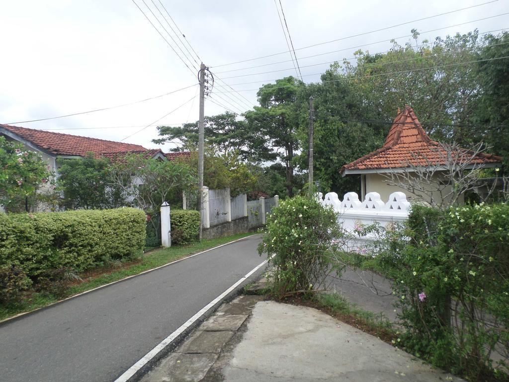 Primrose Hill Holiday Bunglow Kandy Extérieur photo