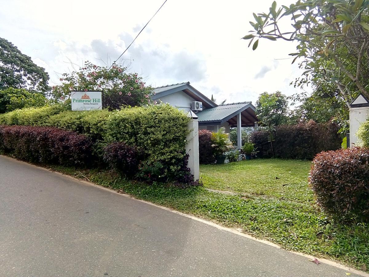 Primrose Hill Holiday Bunglow Kandy Extérieur photo