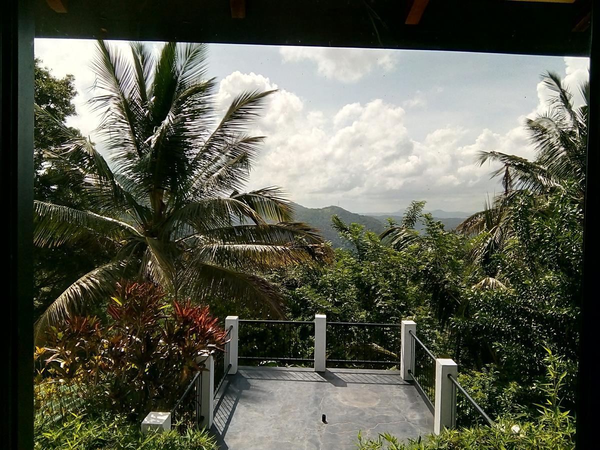 Primrose Hill Holiday Bunglow Kandy Extérieur photo