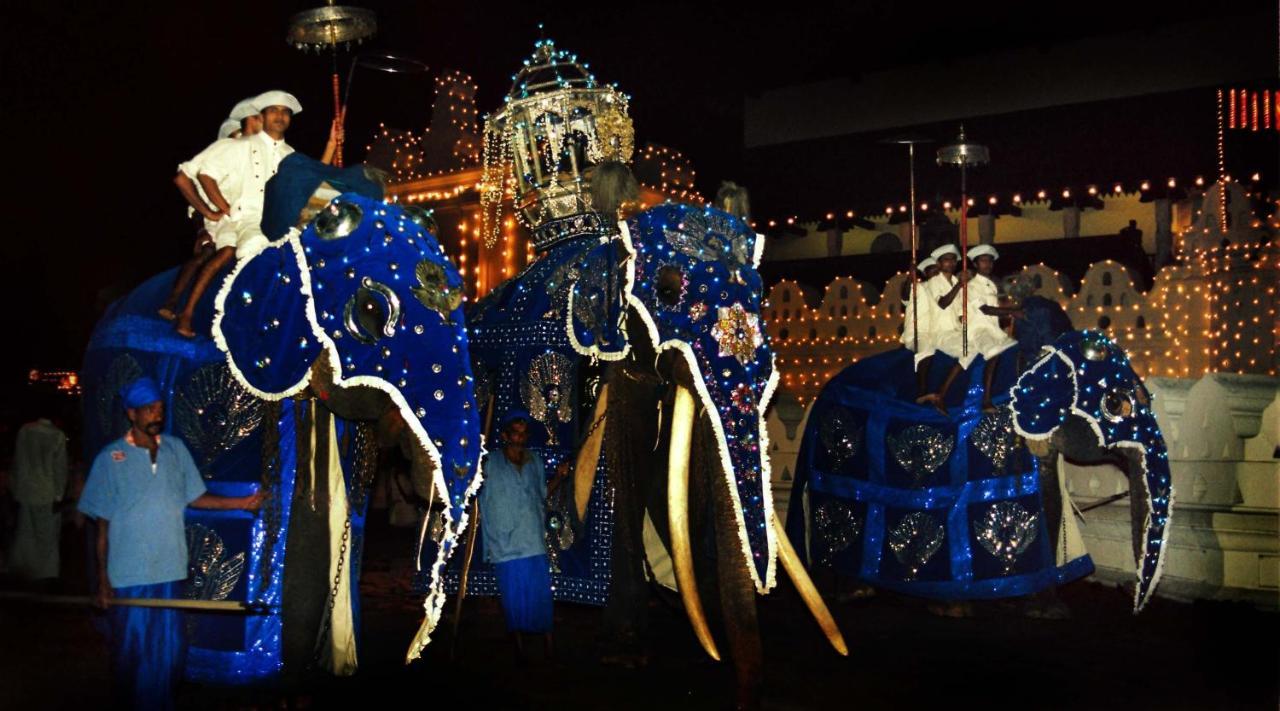 Primrose Hill Holiday Bunglow Kandy Extérieur photo